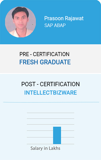 Placement Student