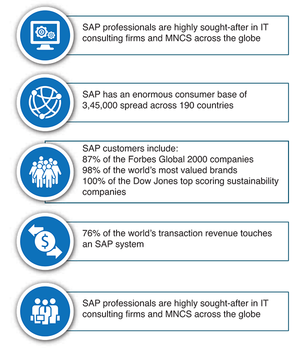 Why SAP Infographic